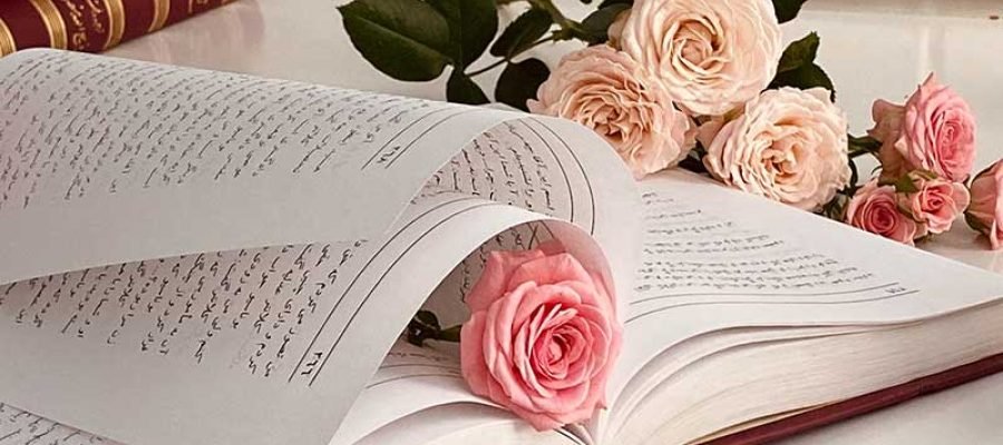 Everything You Wanted to Know